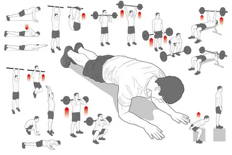 How Illustrated Guides Simplify Sports Training